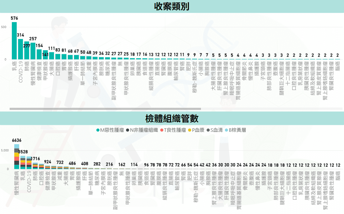 2026.02 癌症類別圖
