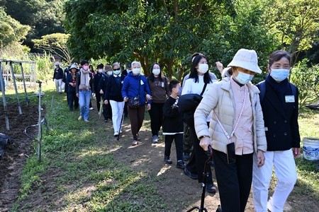 20241130相思淚水如湧泉 朝陽徐風伴你我