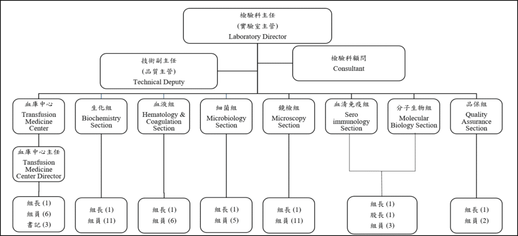 2026年檢驗科組織架構