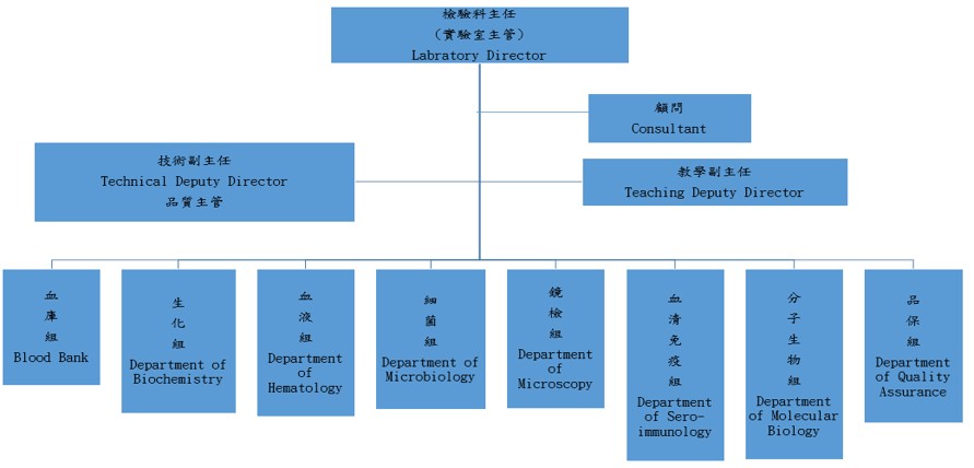 檢驗科組織圖