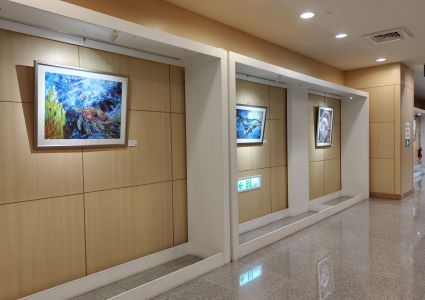 337095 0 (2) 337095 0 (2)