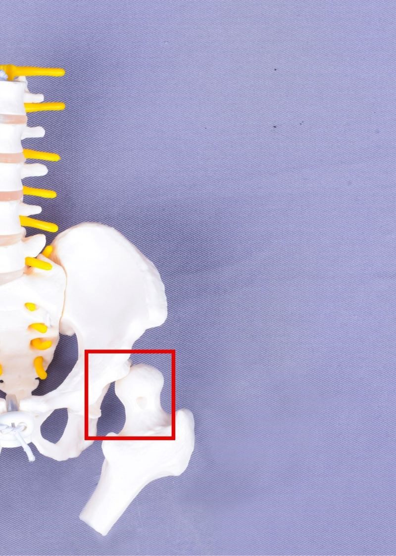 守護寶寶健康學步 台北慈院推動小兒髖關節超音波篩檢 20260402 2 守護寶寶健康學步 台北慈院推動小兒髖關節超音波篩檢 20260402 2