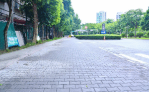 Read more about the article 重鋪車道連鎖磚，強化排水與行走安全，職志合力守護就醫道路