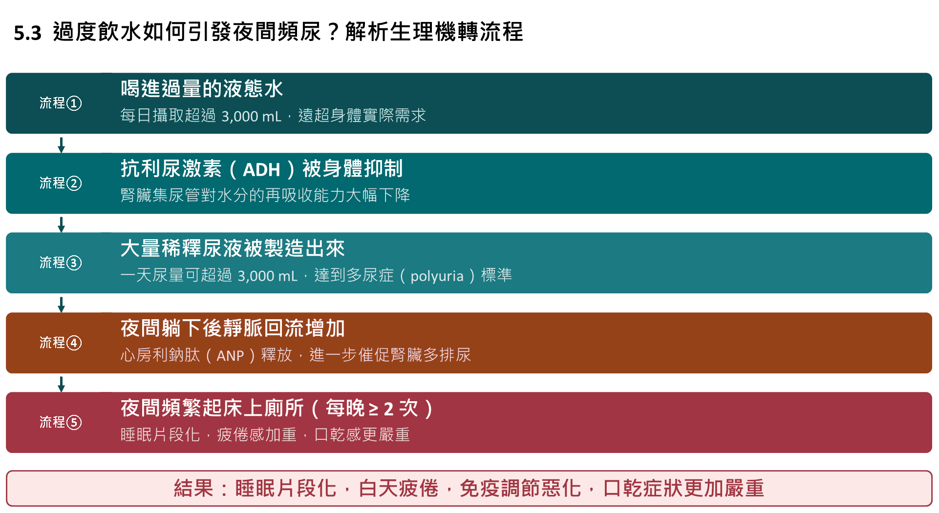 過度飲水導致夜間頻尿與睡眠破碎的流程圖