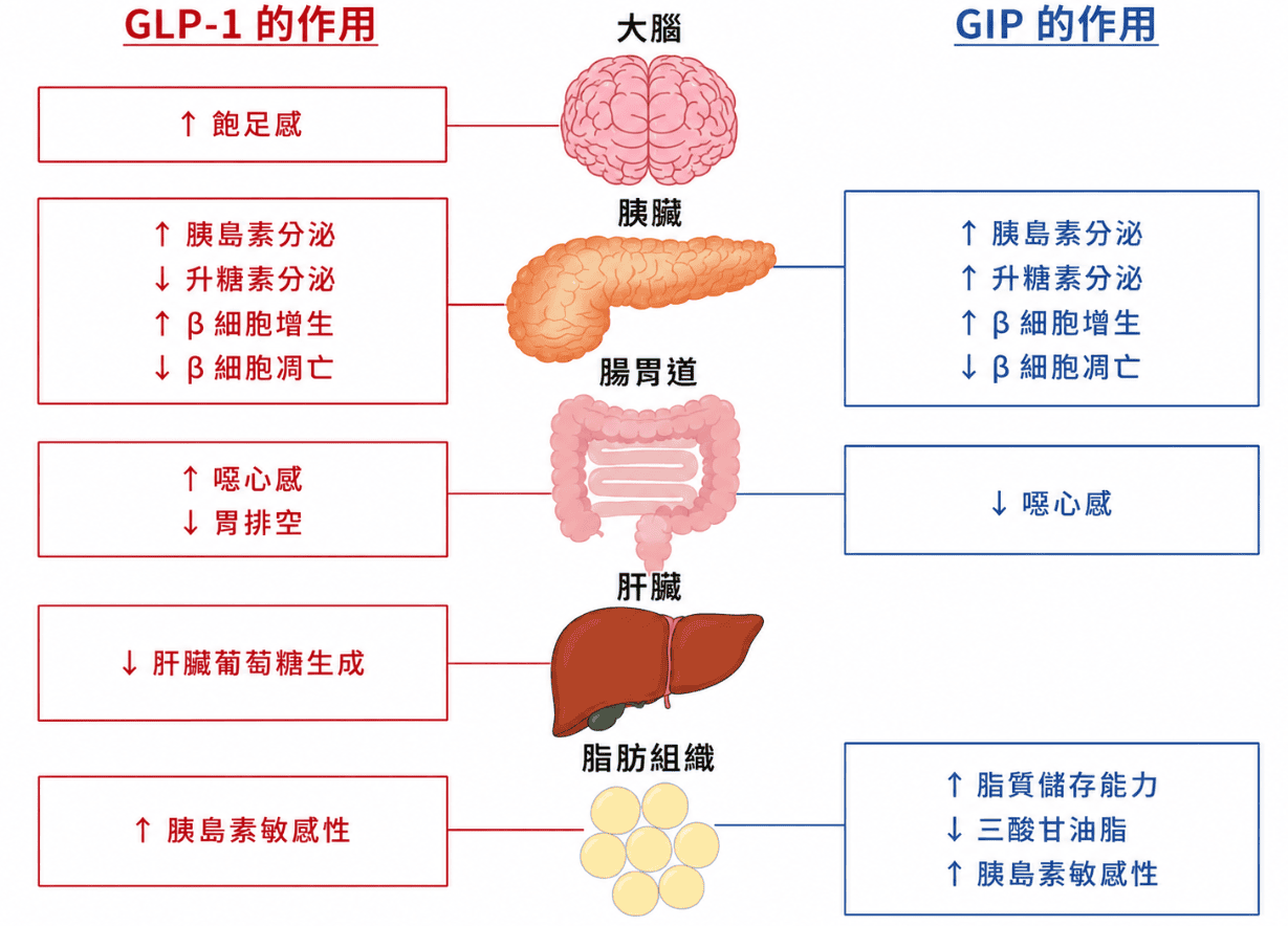 GLP